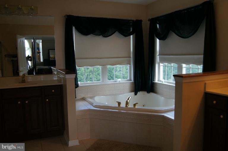 199 Ailsa Drive Rising Sun, MD 21911 - Photo 16 of 25 Bath (Master)