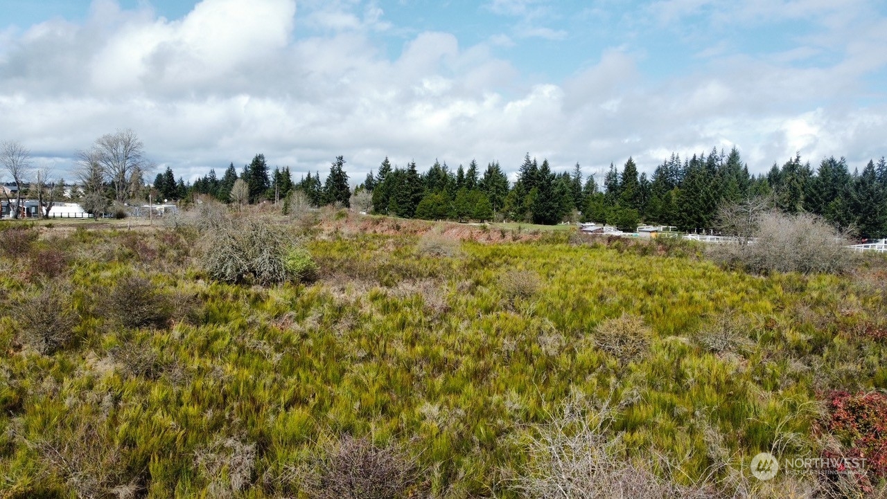 9132 Bridge Road Southeast Yelm, WA 98597 - Photo 12 of 22 Gallery Image 12