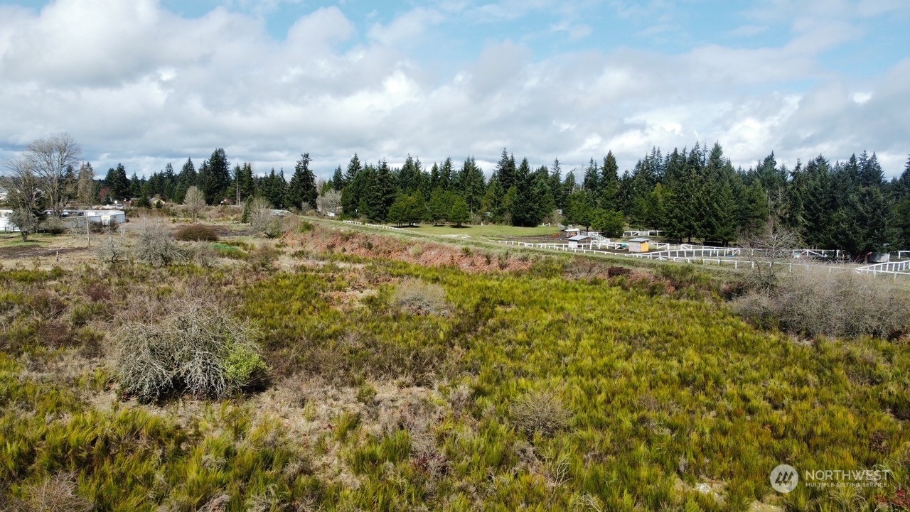 9132 Bridge Road Southeast Yelm, WA 98597 - Photo 16 of 22 Gallery Image 16