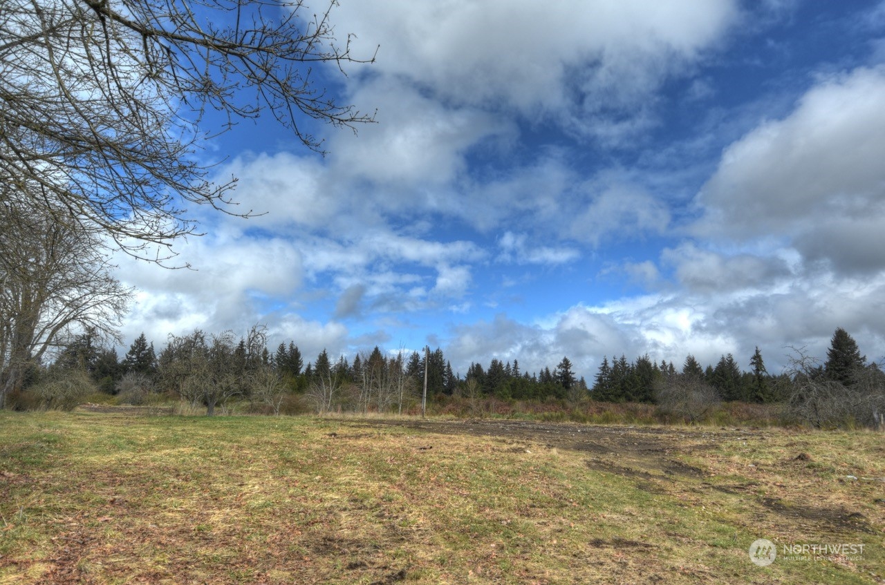 9132 Bridge Road Southeast Yelm, WA 98597 - Photo 9 of 22 Gallery Image 9