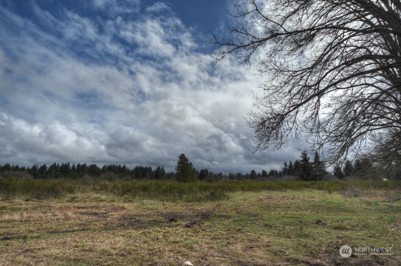 9132 Bridge Road Southeast Yelm, WA 98597 - Photo 10 of 22 Gallery Image 10