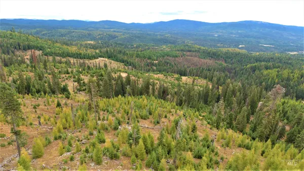 $229,000 | Tbd Old Elk City Wagon Road, Elk City, ID 83525