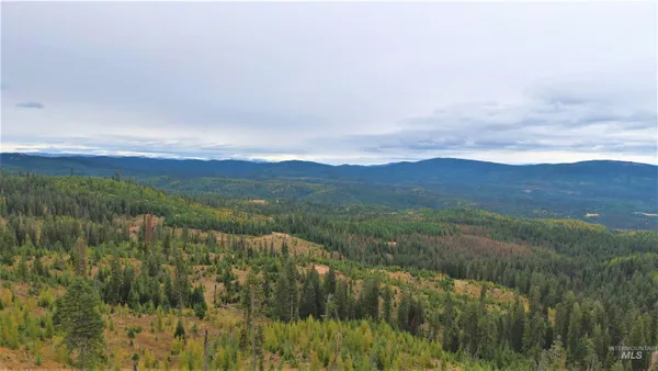 $229,000 | Tbd Old Elk City Wagon Road, Elk City, ID 83525