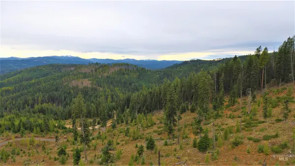 $229,000 | Tbd Old Elk City Wagon Road, Elk City, ID 83525