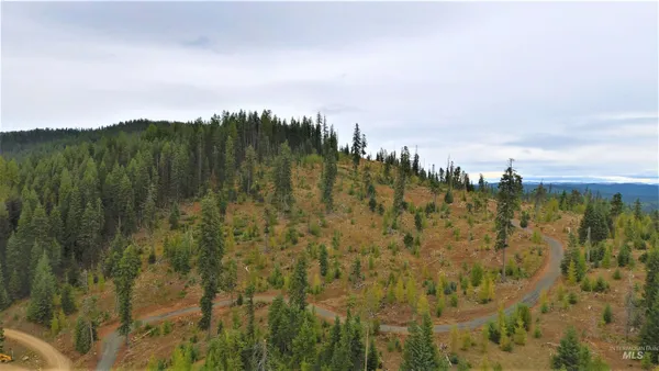 $229,000 | Tbd Old Elk City Wagon Road, Elk City, ID 83525