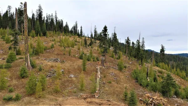$229,000 | Tbd Old Elk City Wagon Road, Elk City, ID 83525