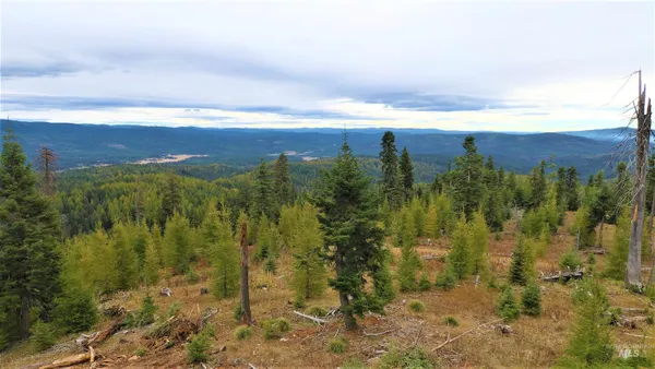 $229,000 | Tbd Old Elk City Wagon Road, Elk City, ID 83525
