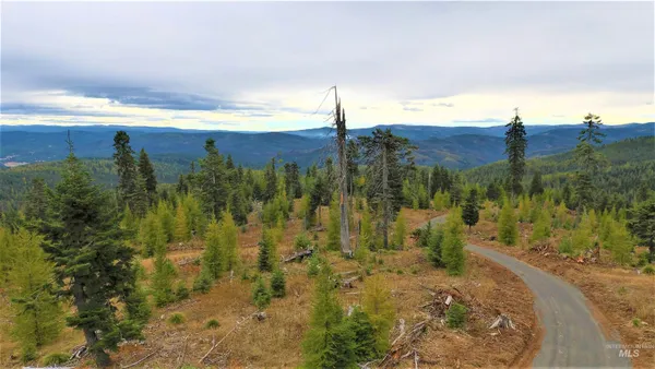 $229,000 | Tbd Old Elk City Wagon Road, Elk City, ID 83525