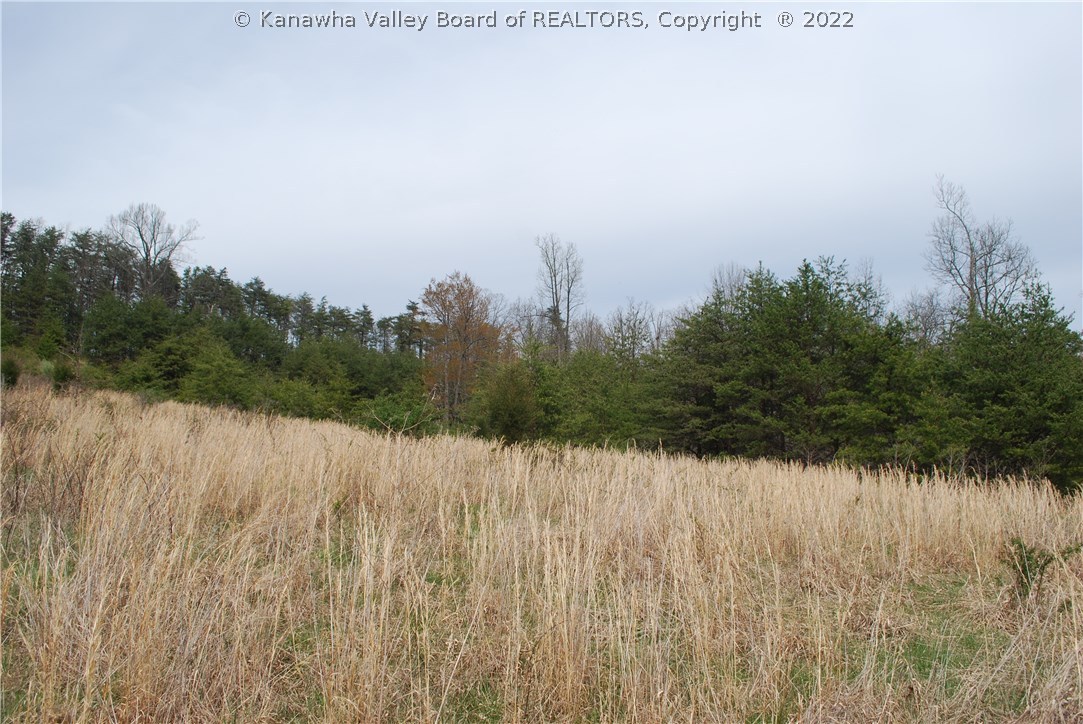 0 Mount Olive Road Milton, WV 25541 - Photo 10 of 17 Gallery Image 10