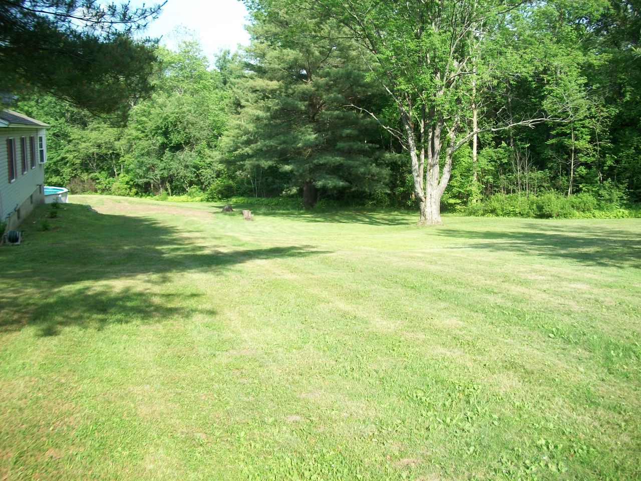 1273 South Washington State Road Washington, MA 01223 - Photo 8 of 22 a view of a trees in a yard