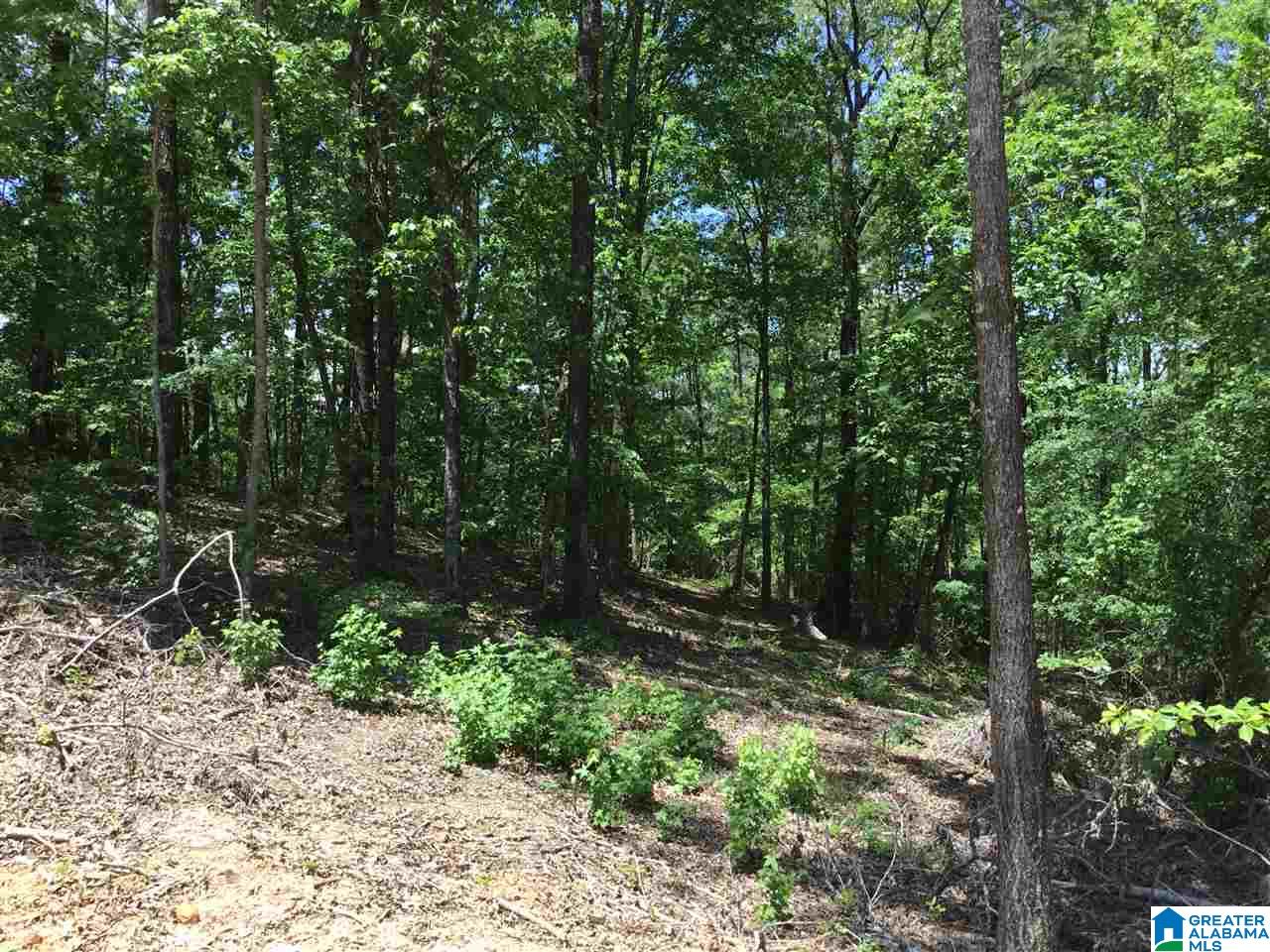 7237 Joinertown Road, Unit 7 09 ACRES Columbiana, AL 35051 - Photo 12 of 17
