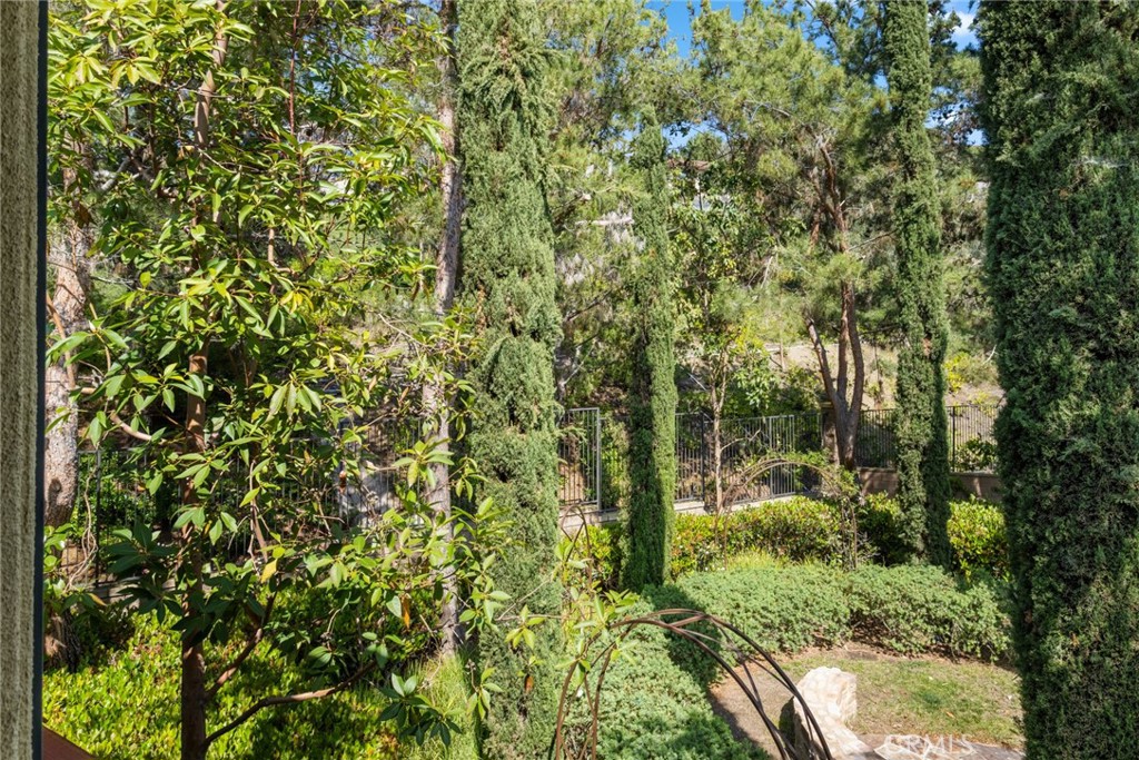 61 Bellwind Irvine, CA 92603 - Photo 20 of 22 a view of a forest with a tree