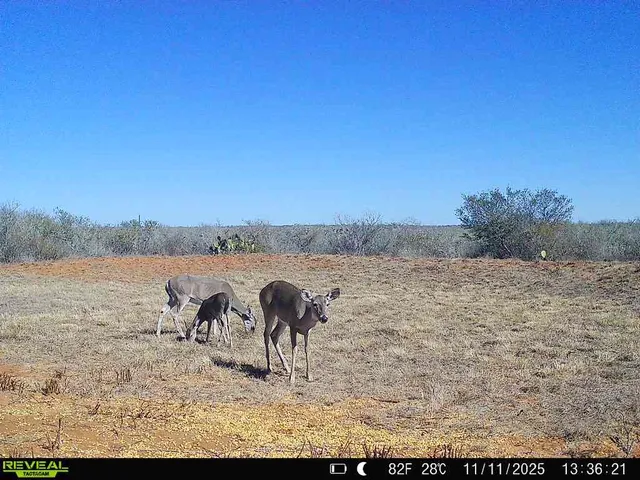 a view of a lake with outdoor space