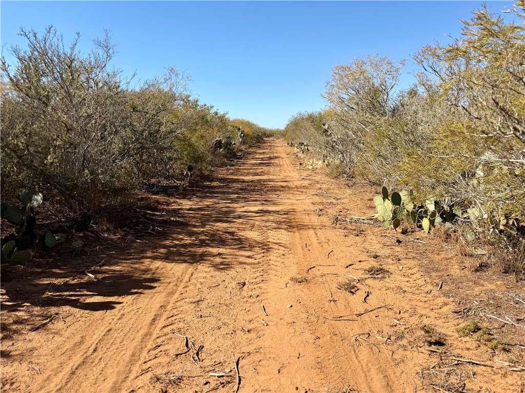 0 County Road 203 Bruni, TX 78344 - Photo 13 of 40 a view of ocean view with beach