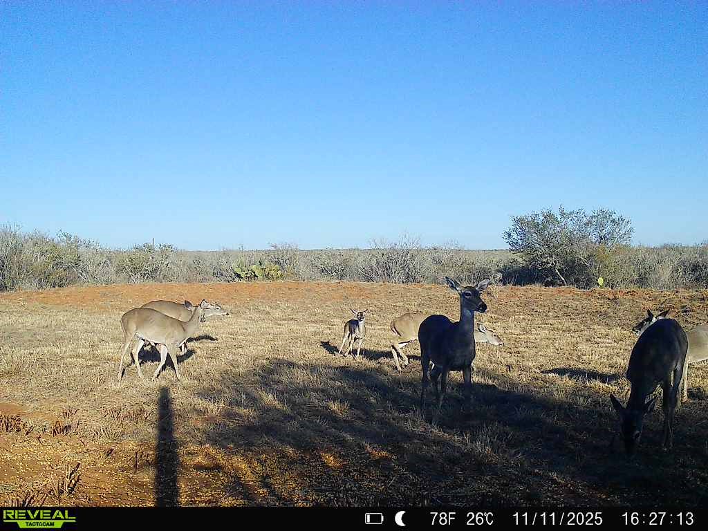 0 County Road 203 Bruni, TX 78344 - Photo 20 of 40