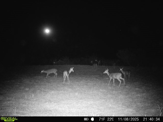 0 County Road 203 Bruni, TX 78344 - Photo 2 of 40 a view of a room with table chair and a fire place