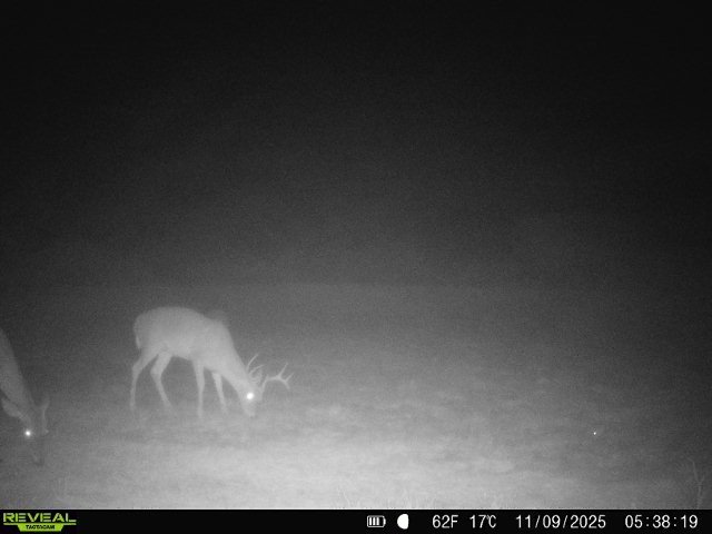 0 County Road 203 Bruni, TX 78344 - Photo 22 of 40