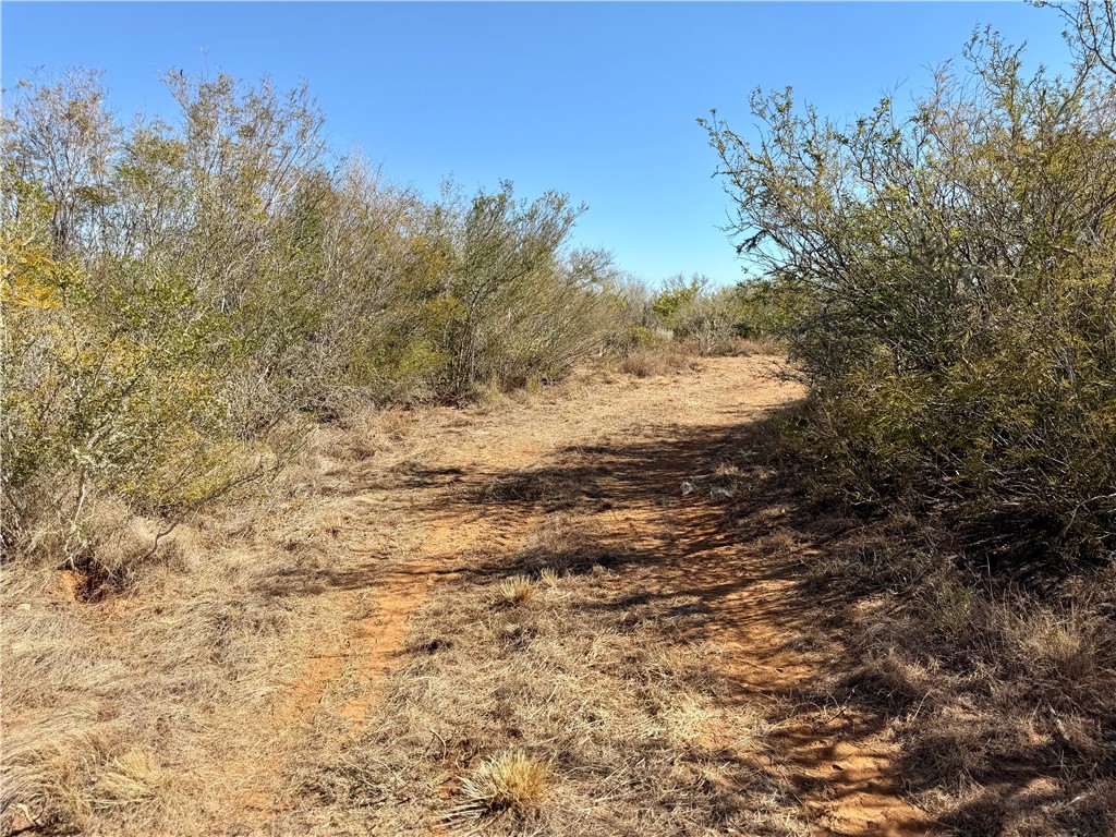 0 County Road 203 Bruni, TX 78344 - Photo 23 of 40 a view of mountain view with trees in the background