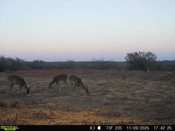 a view of a ocean view