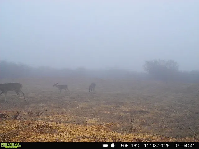 a view of lake with mountain