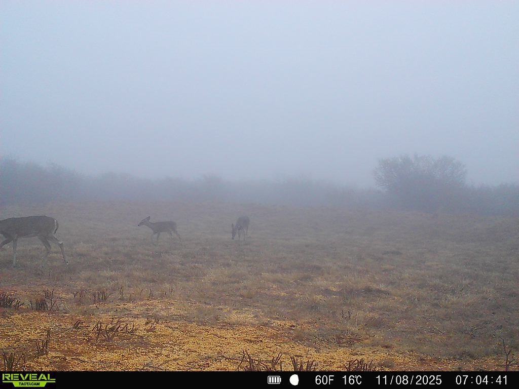 0 County Road 203 Bruni, TX 78344 - Photo 26 of 40 a view of a small space