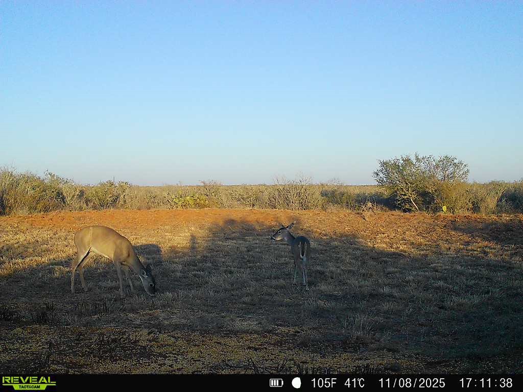 0 County Road 203 Bruni, TX 78344 - Photo 30 of 40 a view of lake with mountain