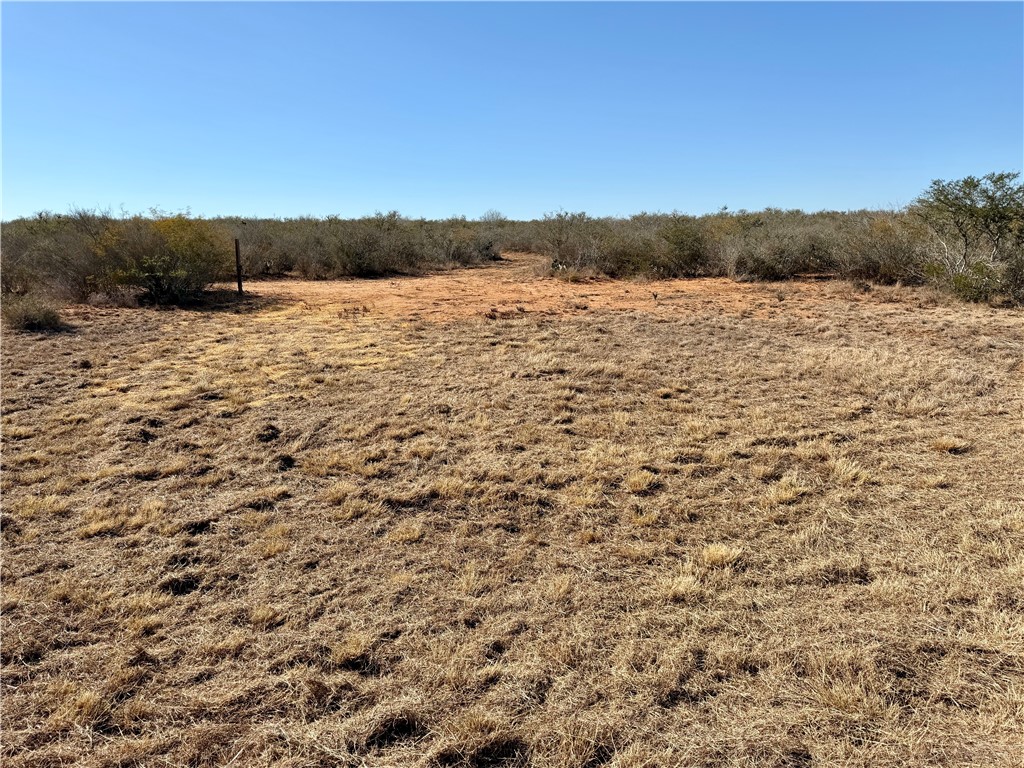 0 County Road 203 Bruni, TX 78344 - Photo 3 of 40 a view of lake