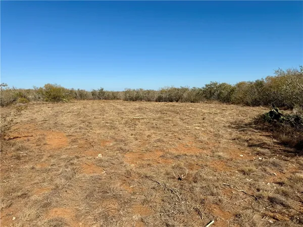 a view of a large yard with lots of bushes