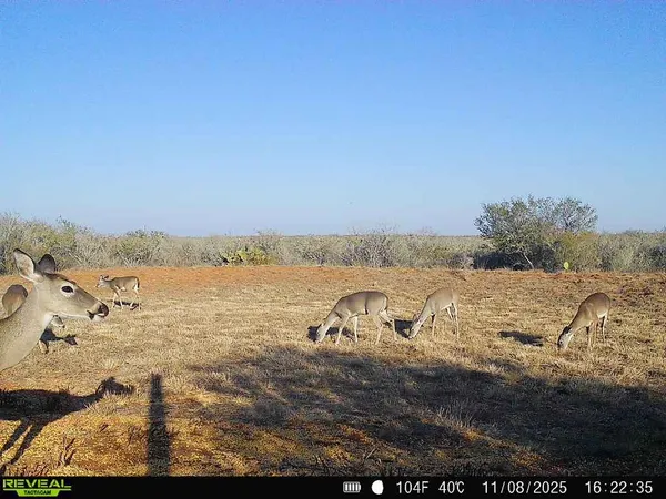 a view of a lake from a yard