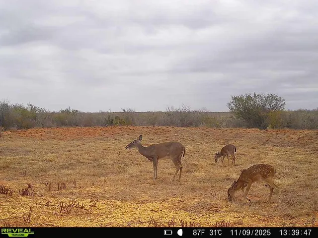 a view of a lake view