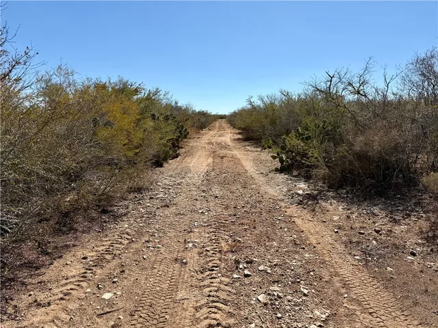 $159,900 | 0 County Road 203, Bruni, TX 78344