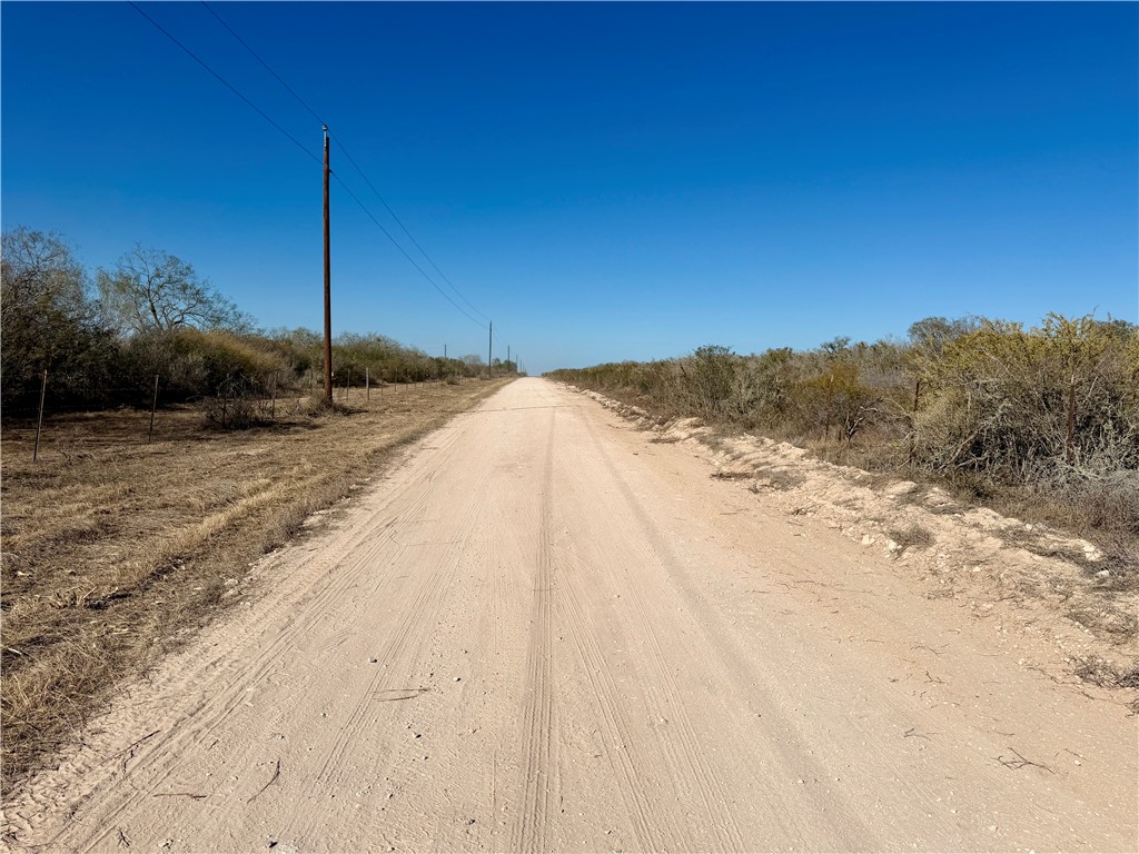 0 County Road 203 Bruni, TX 78344 - Photo 39 of 40 a view of a dry yard with a tree