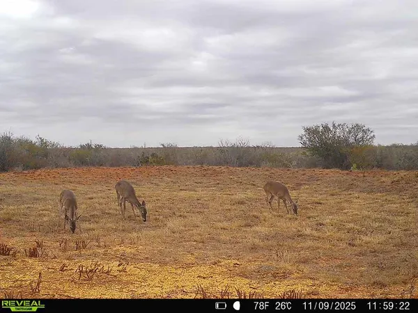 a view of a lake view