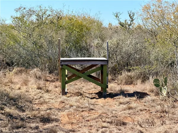 a view of a bench in a backyard