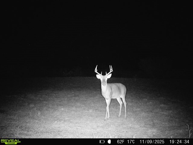 0 County Road 203 Bruni, TX 78344 - Photo 6 of 40 a dining room with a table and chairs