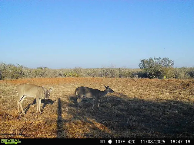 a view of lake with mountain
