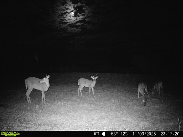 0 County Road 203 Bruni, TX 78344 - Photo 10 of 40 a couple of chairs sitting in a room