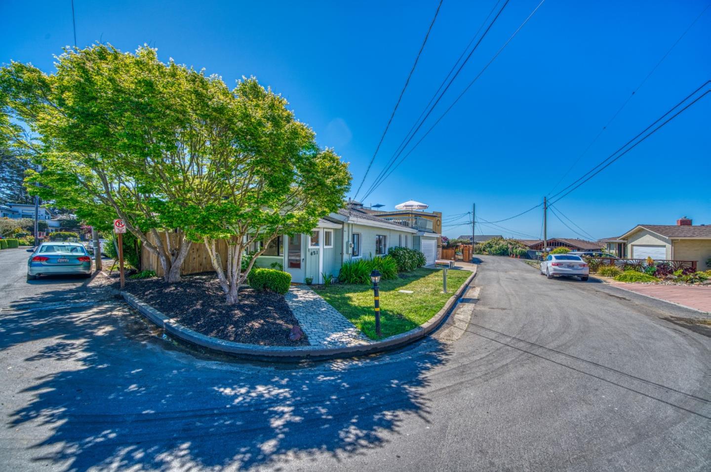 421 Park Drive Aptos, CA 95003 - Photo 28 of 34 a view of a backyard with plants and tree