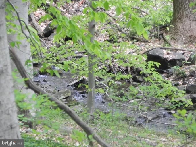 1111 Fox Den Road Bel Air, MD 21014 - Photo 24 of 30 View of stream located on edge of the property.