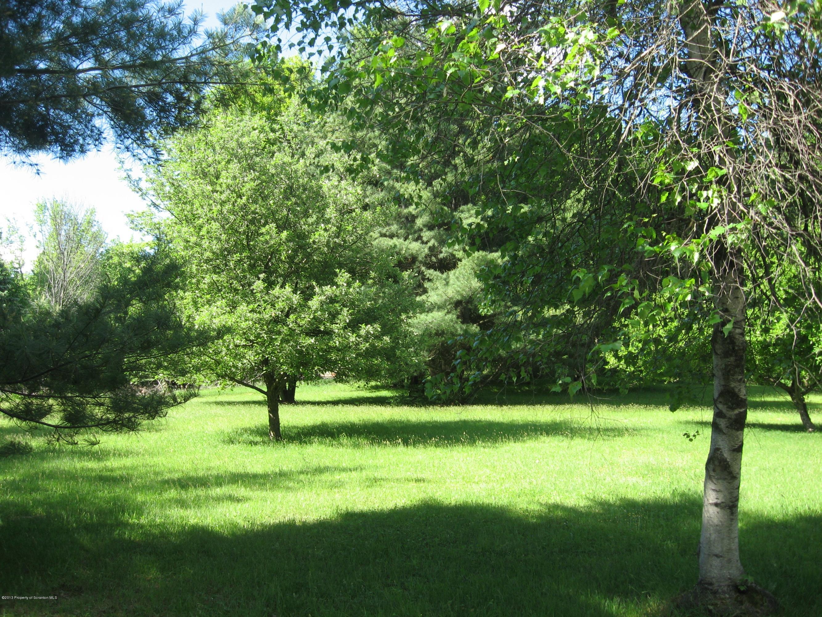 Raylean Road Montrose, PA 18801 - Photo 2 of 7 Fruit trees on property