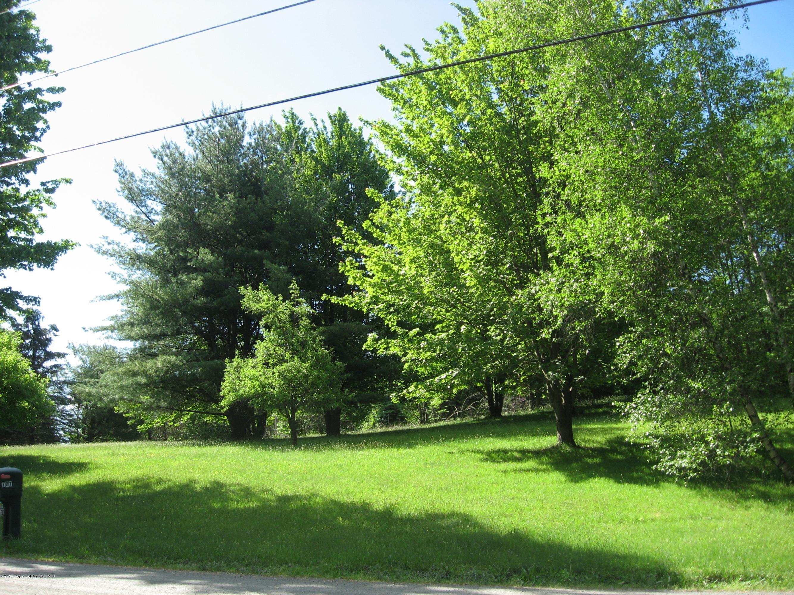 Raylean Road Montrose, PA 18801 - Photo 5 of 7 Otherside of property