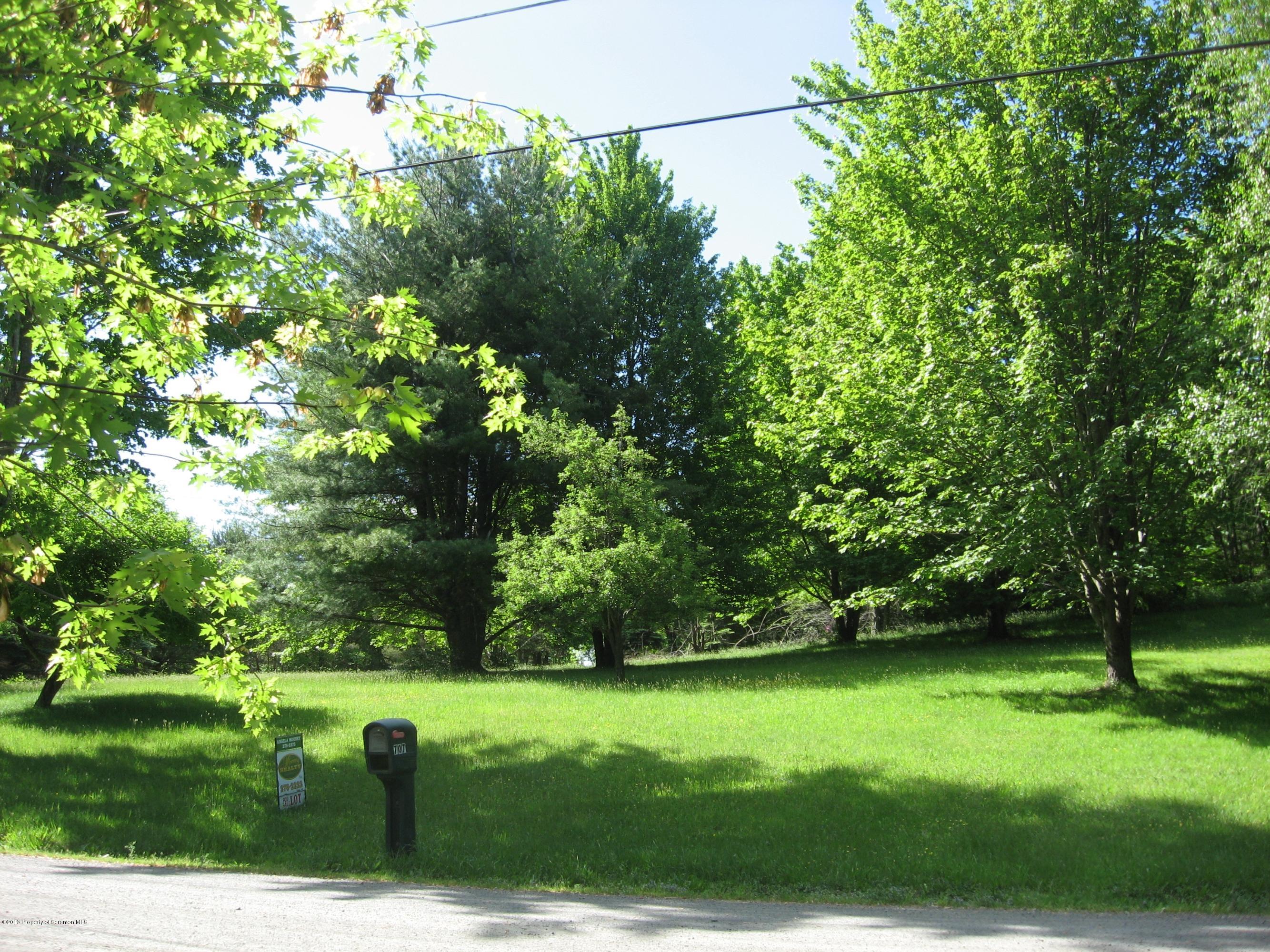 Raylean Road Montrose, PA 18801 - Photo 7 of 7 View from road