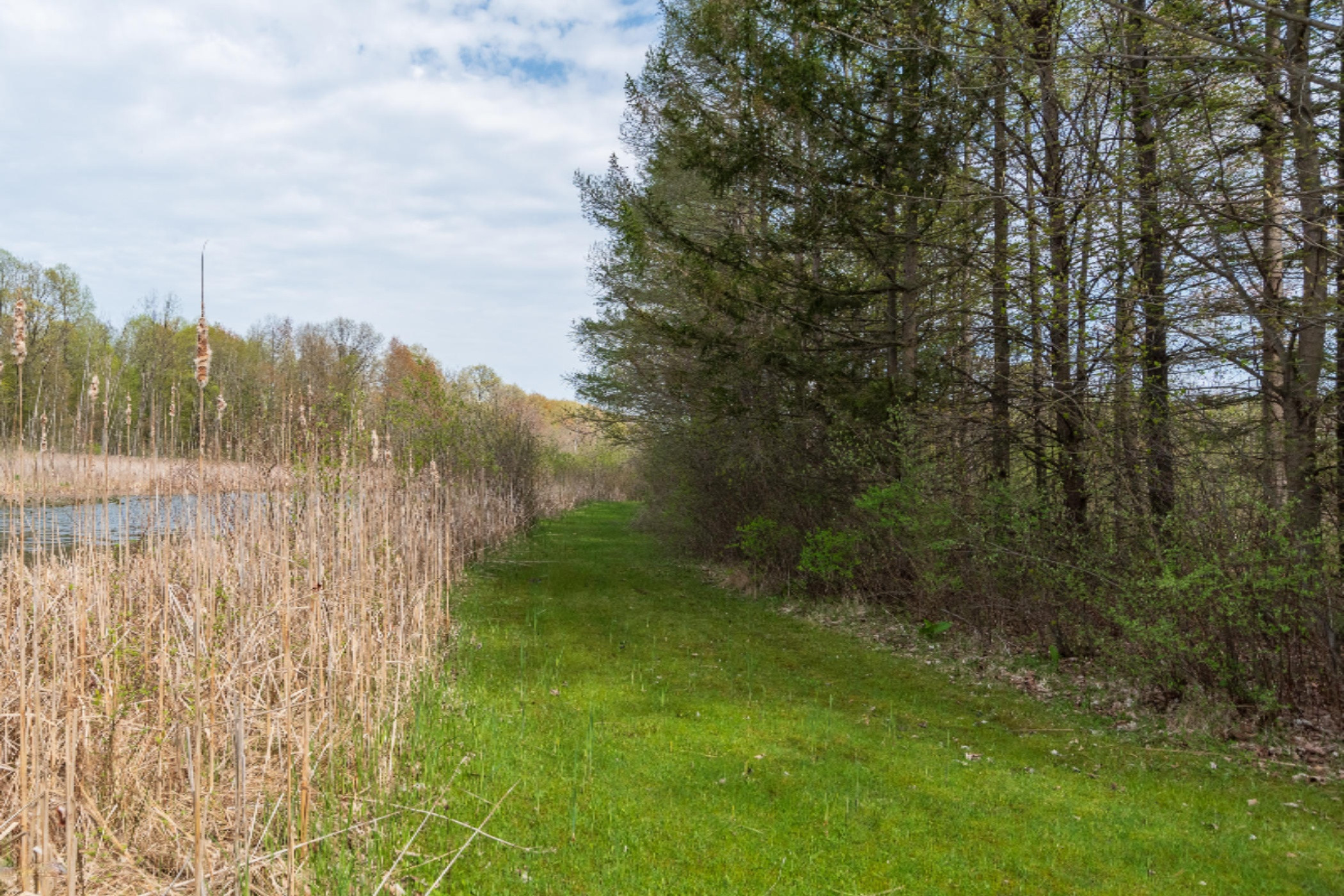 11391 Portage Road Vicksburg, MI 49097 - Photo 54 of 63 11391 Portage Rd-65