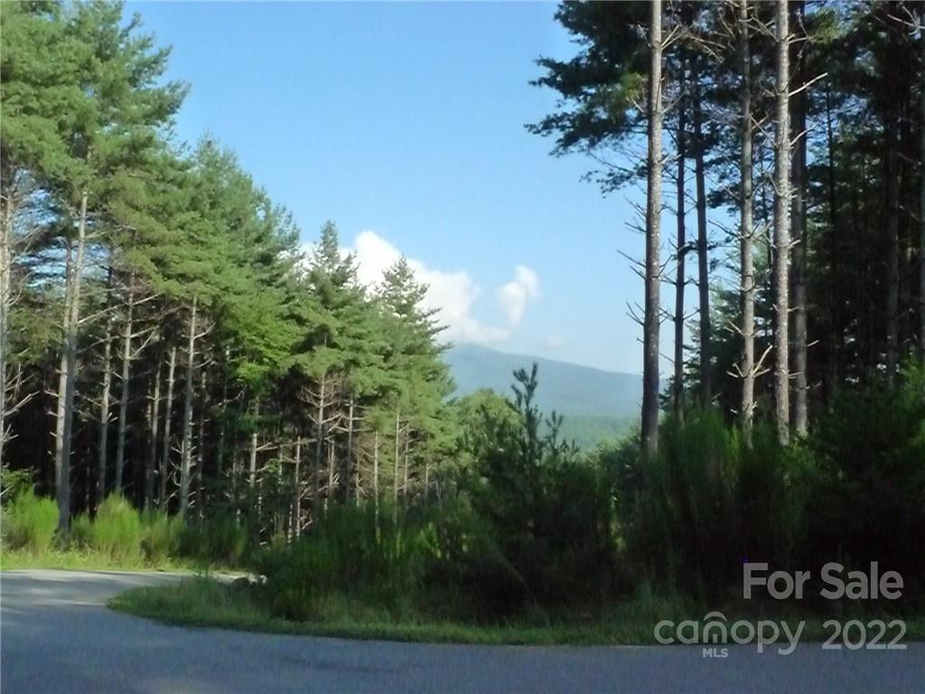 27 West Point Drive, Unit 121 Nebo, NC 28761 - Photo 12 of 21 a view of a garden