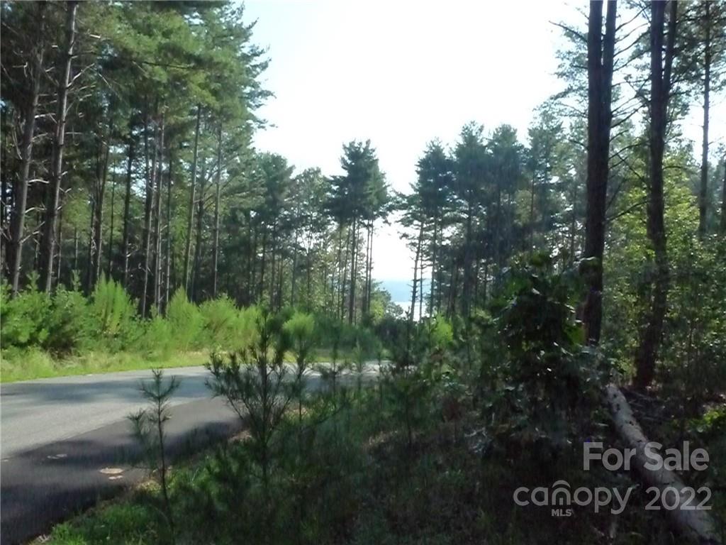 27 West Point Drive, Unit 121 Nebo, NC 28761 - Photo 14 of 21 a view of a yard