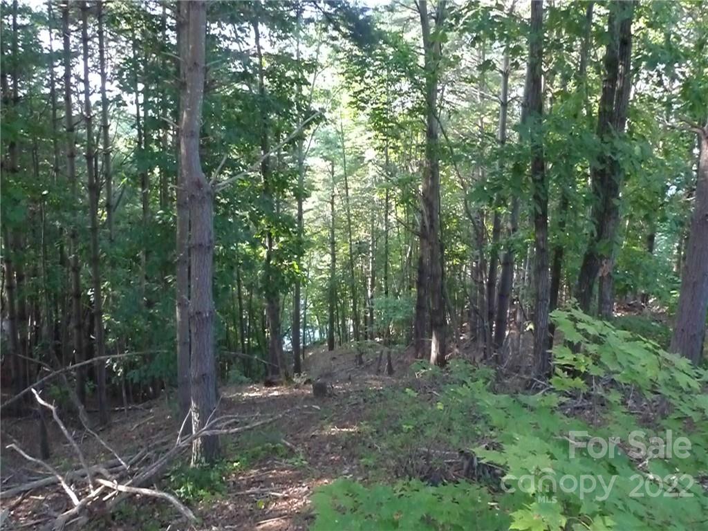 27 West Point Drive, Unit 121 Nebo, NC 28761 - Photo 16 of 21 a view of outdoor space and green space