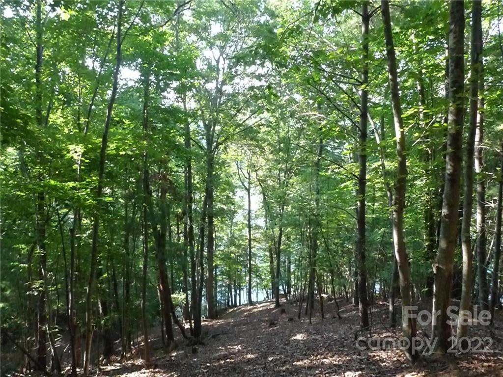 27 West Point Drive, Unit 121 Nebo, NC 28761 - Photo 17 of 21 a view of forest