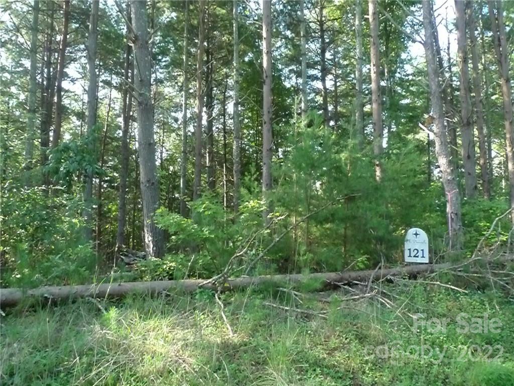 27 West Point Drive, Unit 121 Nebo, NC 28761 - Photo 19 of 21 a backyard of a house with lots of green space and a lake view