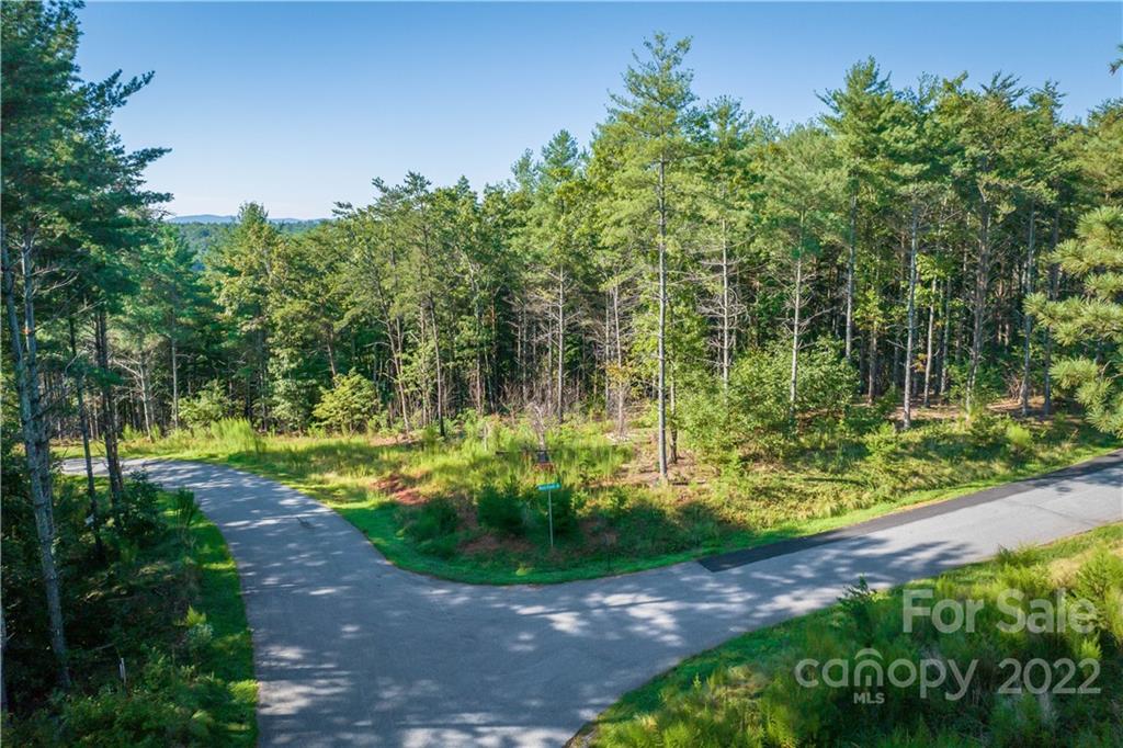27 West Point Drive, Unit 121 Nebo, NC 28761 - Photo 21 of 21 a view of a garden with large trees