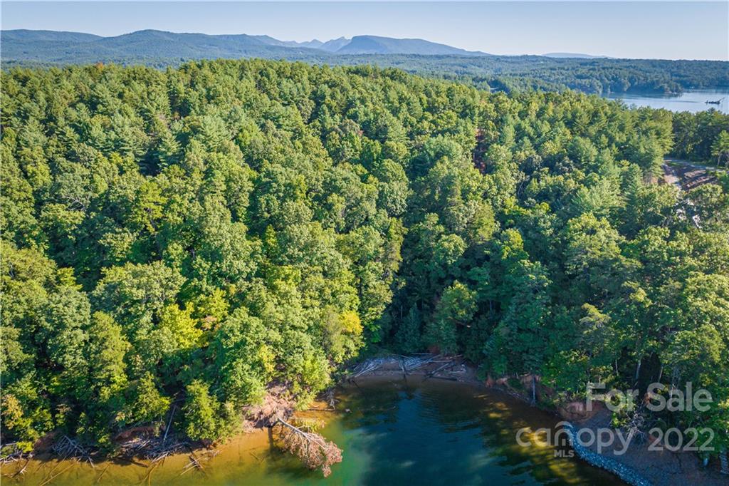 27 West Point Drive, Unit 121 Nebo, NC 28761 - Photo 7 of 21 a view of a lush green forest with lots of trees